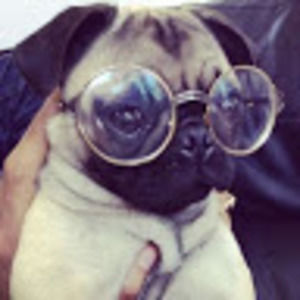 Meet your Posher, Lindsay